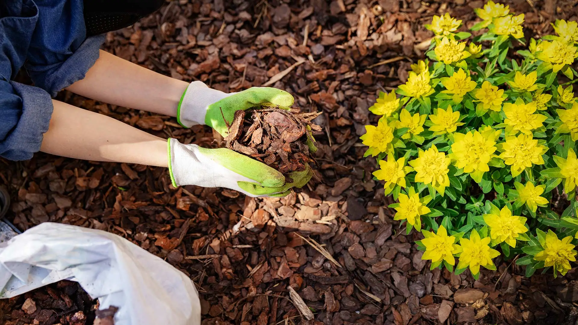 Winter Is Here - Time to Have Mulch Installed in Your Landscape Beds
