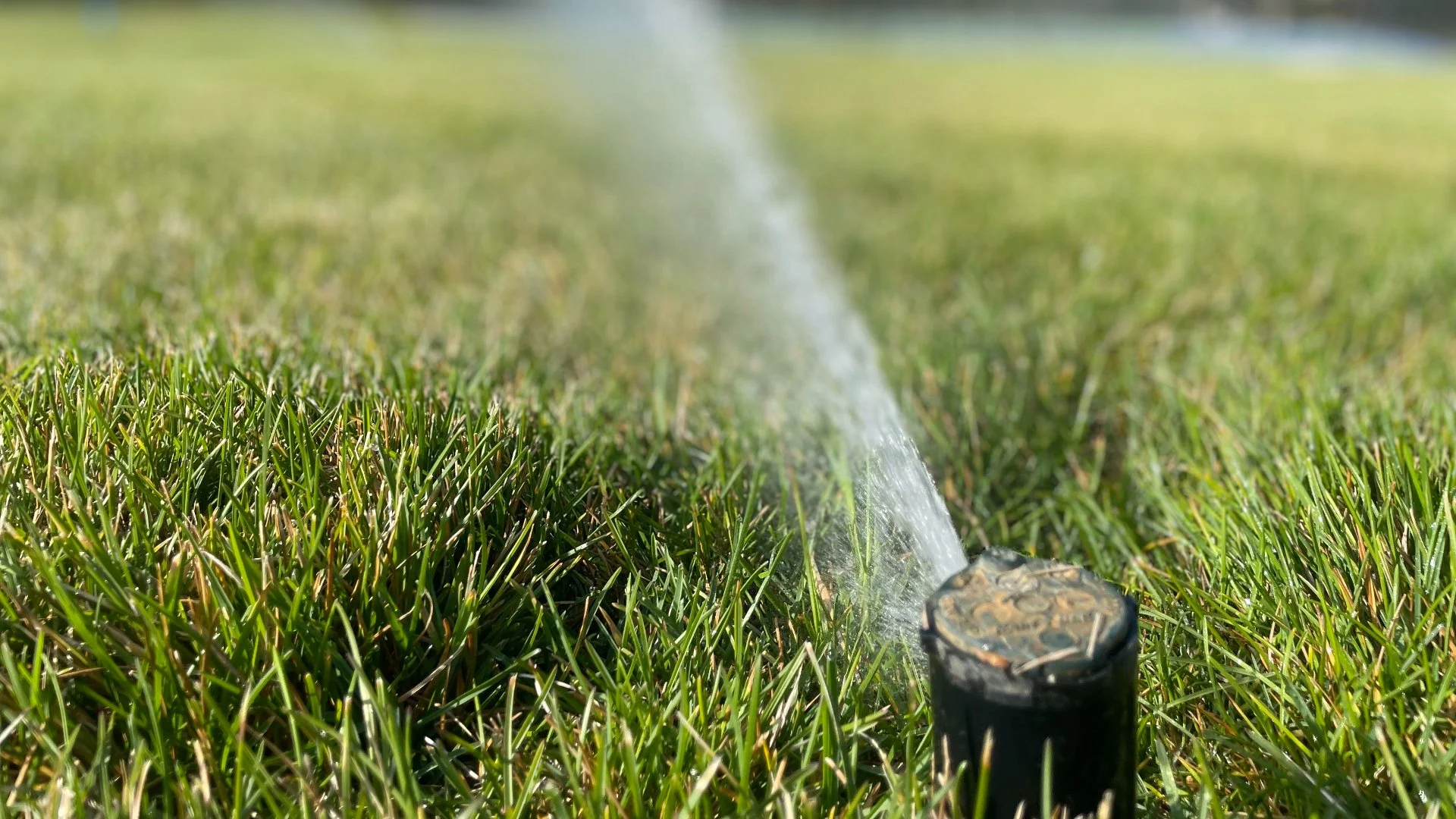4 Signs That Could Indicate There Is a Leak in Your Irrigation System